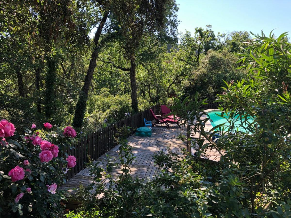 La Bastide De Mauragne - Gite Les Iris อัพท์ ภายนอก รูปภาพ